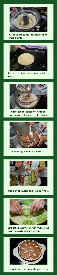 Chocolate and Rubarb Tart Recipe
