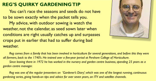 March Gardening Tip