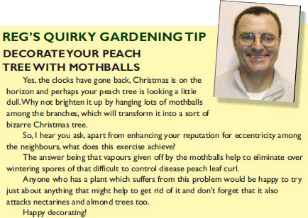 Reg's Gardening Tips fpr November & December
