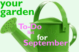 Gardening Tips for September