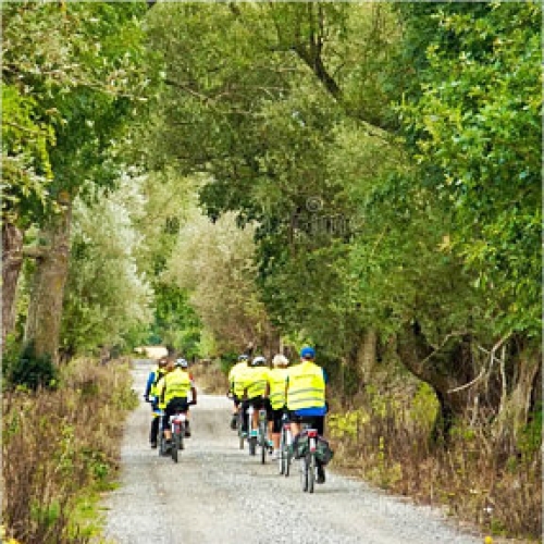 Cycle Clinic