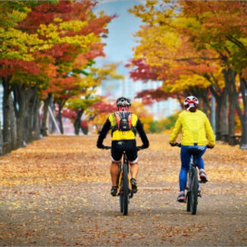 Cyclists riding on leaves on the ground