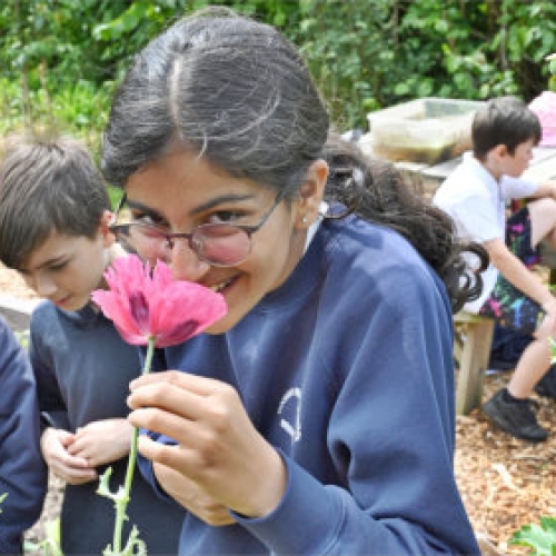 South Downs National Park announces inspiring initiative