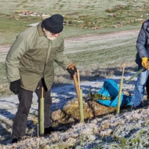 Southdowns National Park’s huge planting scheme